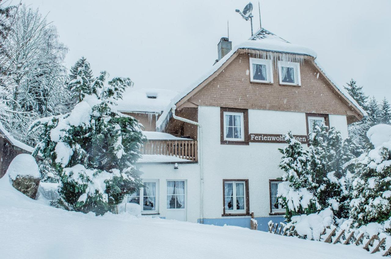 Schwarzwald Apartments Im Haus Tanneck - Feldberg - Titisee Feldberg (Baden-Wurttemberg) Exterior foto